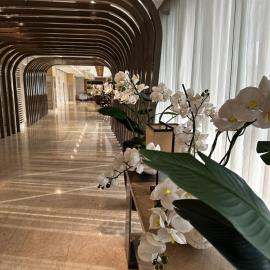 Mall of Asia condotel
