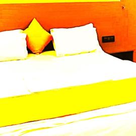 Hotel Temple View Puri