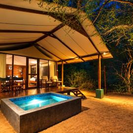 Wild Trails Yala by Suri
