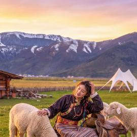 Black Bean Cafe & Wild Retreat - Shangri La - Where Tibetan Heritage Meets Untamed Wilderness - Round-trip Shuttle Service to Dukezong Ancient Town & Airport or TS, hotell i Shangri-La