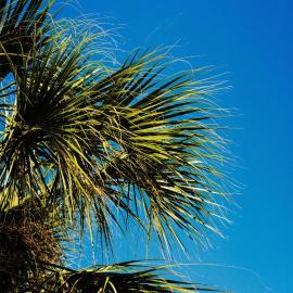 DoubleTree by Hilton Orlando Theme Park Resort