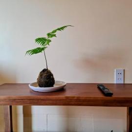 NH Homestay Phan Thiết, hotel v mestu Ấp Bình Hưng