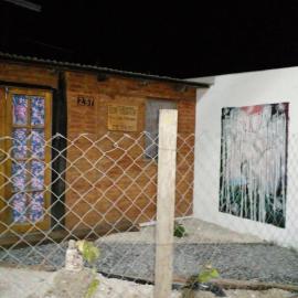 Las violetas