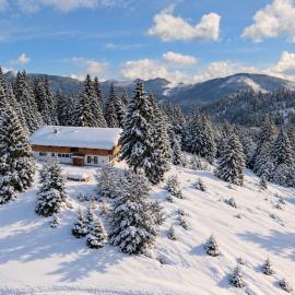 Anzenbergalm