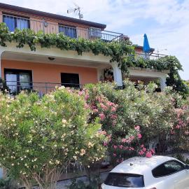 Apartments Coki