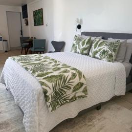 Cozy Eco Studio Garage Near Beach & Airport, hotel a San Juan