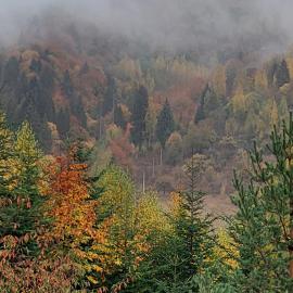 Impression of Karpaty