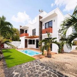 The Palm Villa - Villa Les Palmiers
