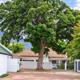 Springbok Cottage