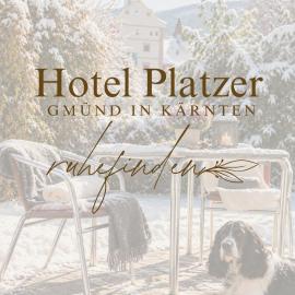 Viesnīca Hotel Restaurant Platzer pilsētā Gminde