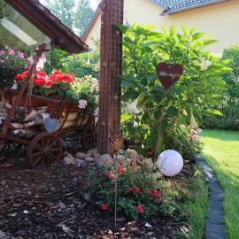 Big Mama_s Home