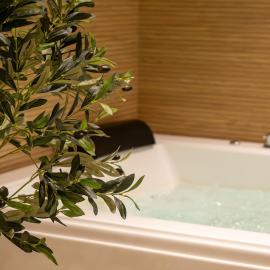 Maison VENELL Concarneau - Spa, Balnéo, Sauna & Jardin - Calme en Centre-ville