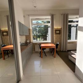 Luxury Apartment in Druskininkai
