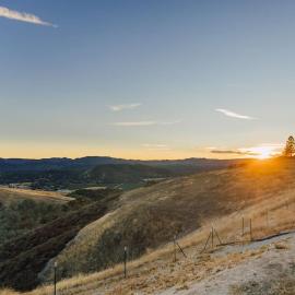Vineyard Views King Bed Dog Friendly Hot Tub