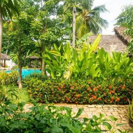 Les bungalows de tanim bonikazo terre fleurie