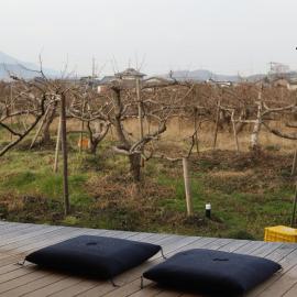 柿畑の宿 Private stay with farm and house all to yourself