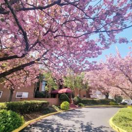 Quiet 1Br On Second Floor With Pool & Balcony
