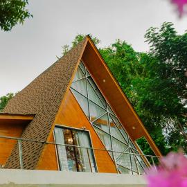 Casa Del Valle A-Frame Beachfront Marine Life