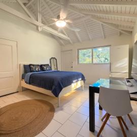 Charming studio Saint-Martin 30 m², garden