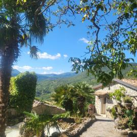 MamiHouse PARADISE