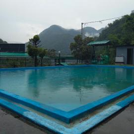 Stay Maasa Resort Ganga View, 10 mints from Rishikesh、Shivpuriのホテル