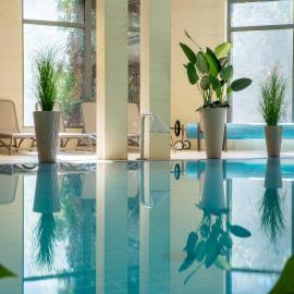 Rubin Wellness & Conference Hotel