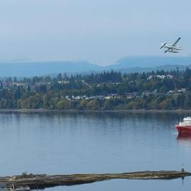 Quiet Ocean View Open Concept, Loft Style Studio within Forested Area, Near Parks & Ferry