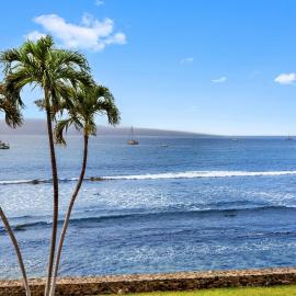 Lahaina Roads 302