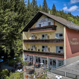Hotel Sonnleitn
