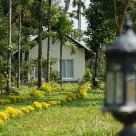 Cloudwood Resort, Wayanad
