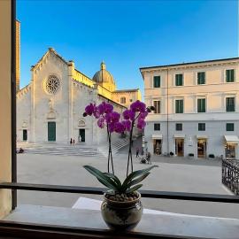 Il Duomo Luxury Suite, hotell i Pietrasanta