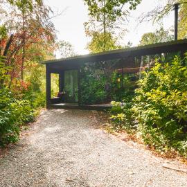 Bosnest, Verborgen parel in het bos