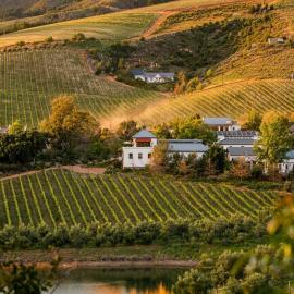 Bartinney Private Cellar Banhoek