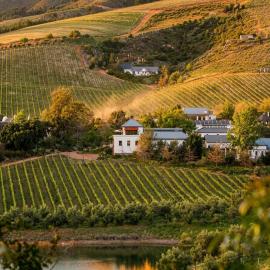 Bartinney Private Cellar Banhoek