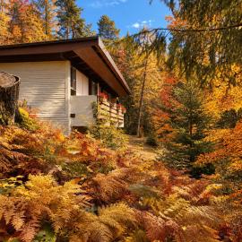 Ca'Mugo, a chalet in the magic woods, near Cortina, hotel u gradu Borka di Kadore