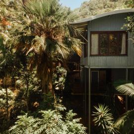 트리니티 비치에 위치한 호텔 Reinwood Retreat - A home Nestled in the Treetops of a Rainforest