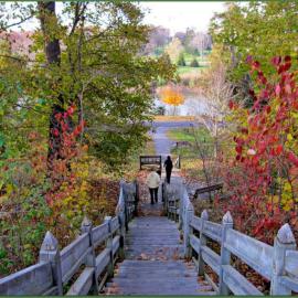 Chic Stay in Wortley – Walk to Downtown & Parks
