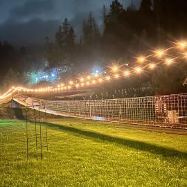 Campamento Rio De La Felicidad By GEstores