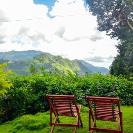 New Dawn View Home Stay
