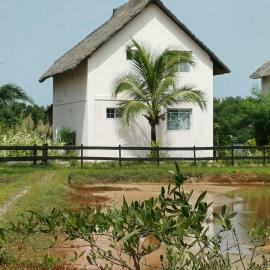Villa Pelican