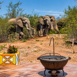 Luxury Safari Homes "hot tub"