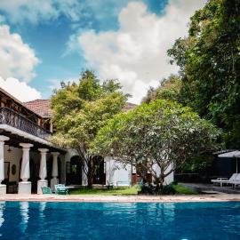 Birdsong,Goa