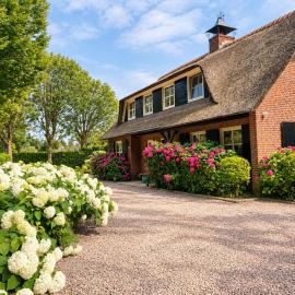 Waal & Bloesem B&B