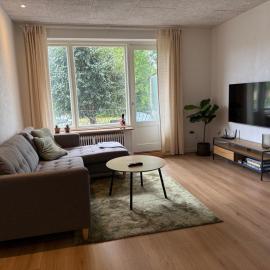 Completely renovated apartment, 6 sleeps, hotel Herningben