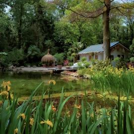 CoCo Cabin Tropische Oase met Privé Sauna en Hottub Zwemvijver en Waterval, viešbutis mieste Vaudenbergas