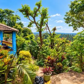 Ormal Guest House - Agonda - Blue