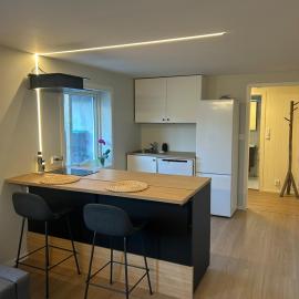 Modern studio apartment in Ågotnes