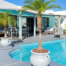 Appartement confortable à Saint-Pierre avec piscine privée (55 m²) – hotel w mieście Anse