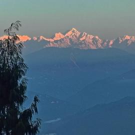 Alpine's Nest Homestay, Ramdhura