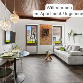 Apartment Ungeheuer klimatisiert